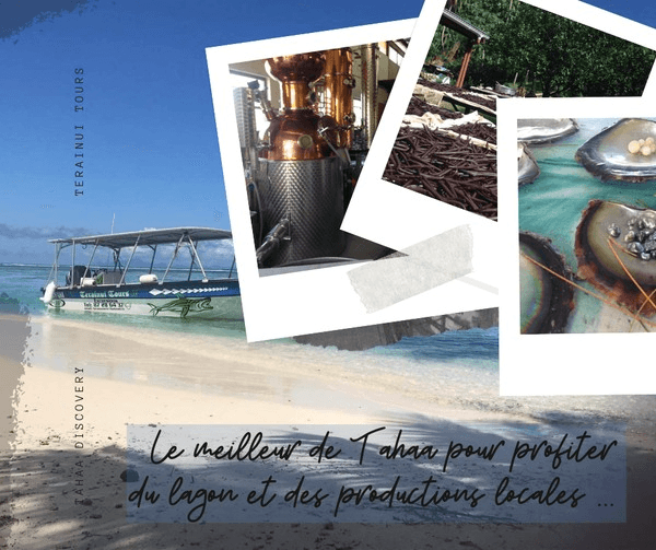 Excursion terre et mer à Taha'a - visite plantation vanille et snorkeling
