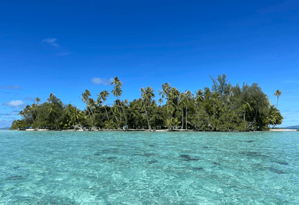 Sortie motu Mahaea - journée détente sur un motu privé à Taha'a